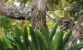 Imagem 4: CHÁCARA GRANDE- CASA NOVA-ÁGUA DE NASCENTE- TERRENO PLANO- REGIÃO DE EXTREMA MG