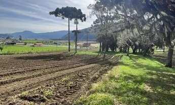 Imagem 3: TERRENO NO CAMINHO PARA O MORRO DA IGREJA IDEAL PARA INVESTIMENTO!