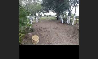 Imagem 4: Sítio em Canguçu RS