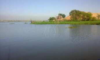 Imagem 6: Santo Antônio do Aracanguá - Fazenda/Sítio - Zona Rural