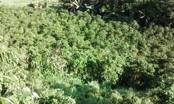 Imagem 4: Sítio 4,2 alqueires Cachoeiro de Itapemirim