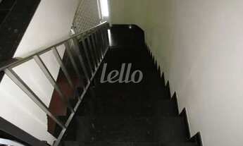 Imagem 5: São Paulo - Casa Padrão - Campo Belo