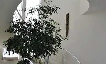 Imagem 6: ESPETACULAR SOBRADO COM 6 SUITES TODA PLANEJADA NO CONDOMINIO TEWRRAS DE SAO JOSE 2 EM ITU