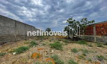 Imagem 7: LOTE PLANO NO CONDOMÍNIO ALTO DA BOA VISTA