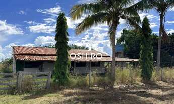 Imagem 3: FAZ. DUPLA APTIDÃO EM BRITÂNIA GO - NIL. CÓD. 13712