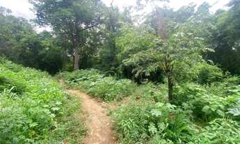 Imagem 7: Terreno à venda, 250 m² por R$ 100.000,00 - Vila Rezende - Piracicaba/SP