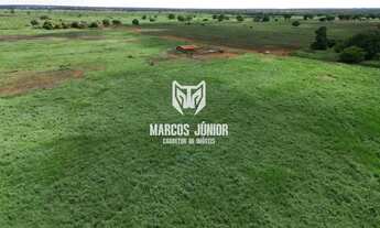 Imagem: FAZENDA FORMADA NA REGIÃO DE JANAUBA E