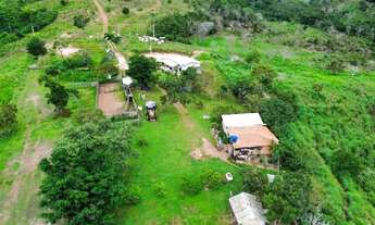 Imagem 4: Fazenda à Venda 56 Alqueires