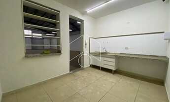 Imagem 4: Comercial GalpãoBarracão em Marília