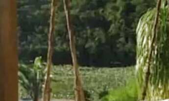 Imagem: Viva com Segurança e Qualidade de Vida