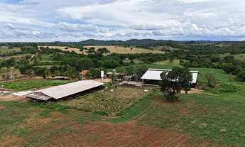 Imagem 2: Chácara 4,5 alqueires (21,69 hectares) Pontalina - Go