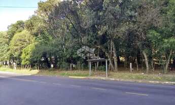 Imagem 4: TERRENO NO BAIRRO CRUZEIRO- CAXIAS DO SUL