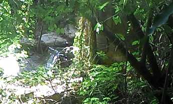 Imagem 2: Chacara Chácara com venda por R$900