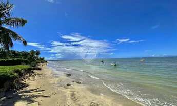 Imagem 3: Lote à venda com 486 m2 em Praia do Marceineiro - Rota Ecológica de Milagres - AL