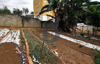 Imagem 3: Chácara para Venda - Jardim Alexandrina