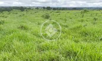 Imagem 5: Fazenda a 5 km de Ivolândia-GO 23 Alqueires prontos para produçã codigo: 133774