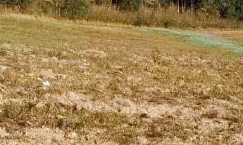 Imagem: 8. Escolha viver melhor natureza, espaço