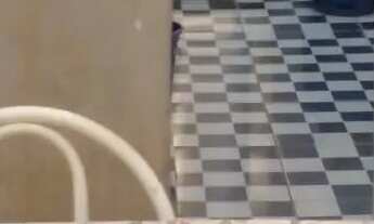 Imagem 6: Casa em Barra Mansa - RJ