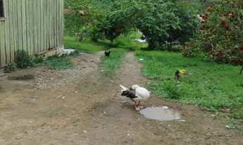 Imagem 2: Chácara em Antonina 12.375,27 m2