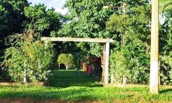 Imagem 3: Chácara com 1 dormitório à venda, 7000 m² por R$ 350.000,00 - Serra Azul - Serra Azul/SP