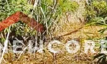 Imagem 3: Lote em Alameda dos Pinheiros - Cidade Jardim - Pirassununga/SP