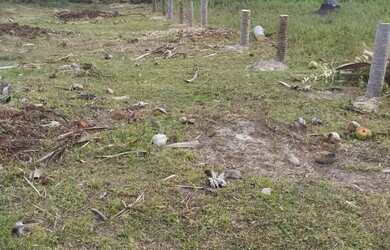 Imagem: Terreno com accesso ao rio e no centro do