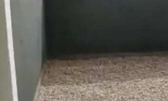 Imagem 3: Sobrado em Forquilhas, São José, de 2 quartos