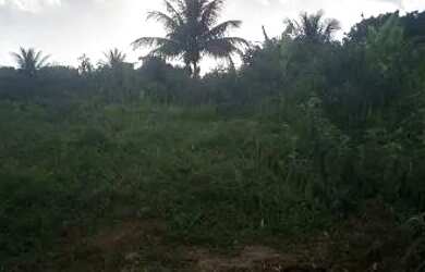 Imagem 7: Vende-se terreno 18x100