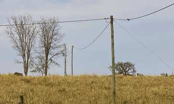 Imagem 3: Chácara de meio alqueire em bela vista com córrego no fundo!