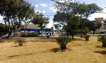 Imagem 7: Salão - Parque Taquaral - Campinas