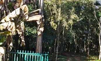 Imagem 2: Vende linda chácara São José pinhais ou troca imovel matinhos caioba