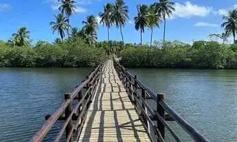 Imagem 2: Lote à venda em rua pública, TATUAMUNHA, Porto de Pedras, AL