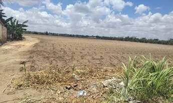 Imagem 4: Terreno de 27 tarefas (81.796 m²) no povoado Cangandú - Arapiraca/AL