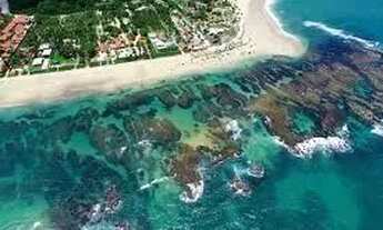 Imagem 6: BEIRA MAR PORTO DE GALINHAS 28M2 STUDIO