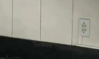 Imagem 7: Imóvel para aluguel com 48 metros quadrados com 2 quartos em Vila da Oportunidade - Carapi