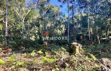 Imagem 4: Lote em Avenida Chimango - Colinas - São Francisco de Paula/RS