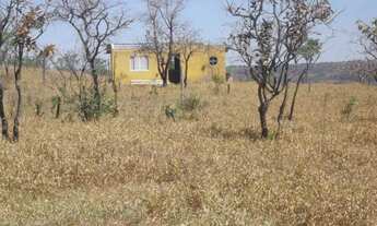 Imagem: Área de 20.000 m² toda plana com uma casa