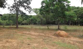 Imagem 3: Jaboticatubas linda chácara de 20.000 m² próximo ao Rio. WhTSApp * Guilherme