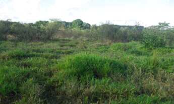 Imagem 6: Chácara em Baldim de 21mil m² com Rio nos fundos, WhTSApp * Guilherme