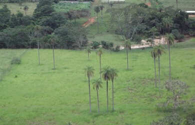 Imagem 2: Serra d Cipó!!! Fazendinhas MeLhOr Da ReGiÃo * WhtsApp