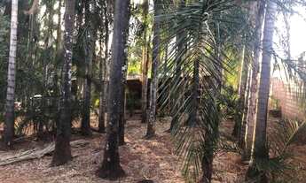 Imagem 6: Lote para Venda em Goiânia, Jardim América