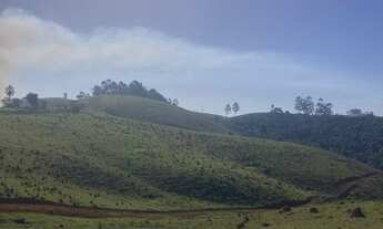 Imagem 3: Tk Sua família em contato com a natureza!