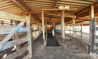 Imagem 5: Chácara Excelente 1,16 Alqueires, Bela Vista de Goiás