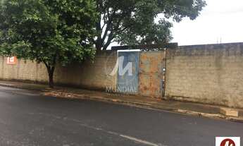 Imagem 6: Terreno (terreno normal