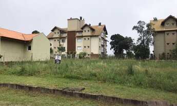 Imagem 2: Gramado - Terreno Padrão - Carazal