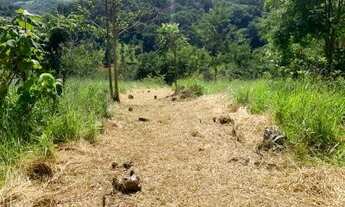 Imagem 2: Terreno em bairro valorizado