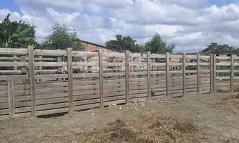 Imagem 2: Ótima Fazenda com 96 hectares na região vera cruz