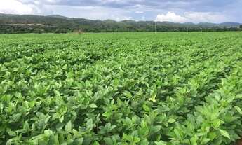 Imagem 2: Fazenda de 10.416 ha em Paratininga-MT