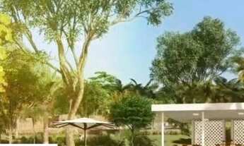 Imagem 2: Venda - Terreno - Vila Mac Knight - Santa Bárbara D'Oeste - SP