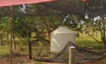 Imagem 5: Chácara no MS040 à 32 km de Campo Grande 800 metros do asfalto